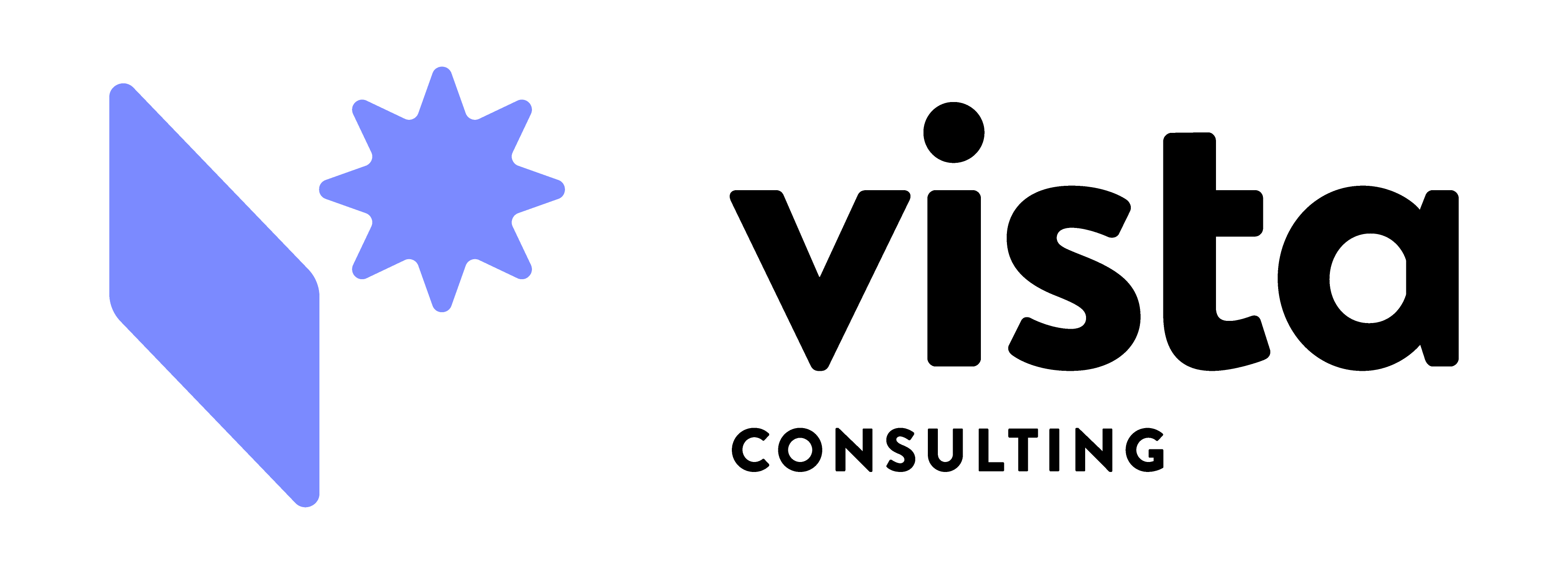 Vista Consulting